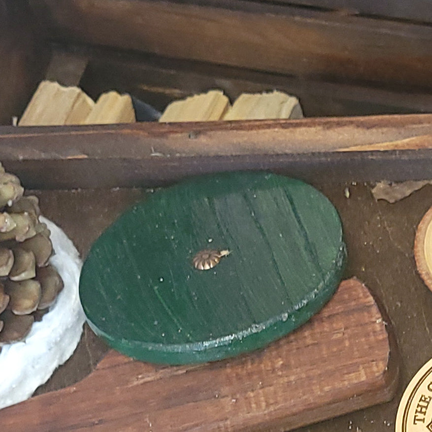 Shire Coasters