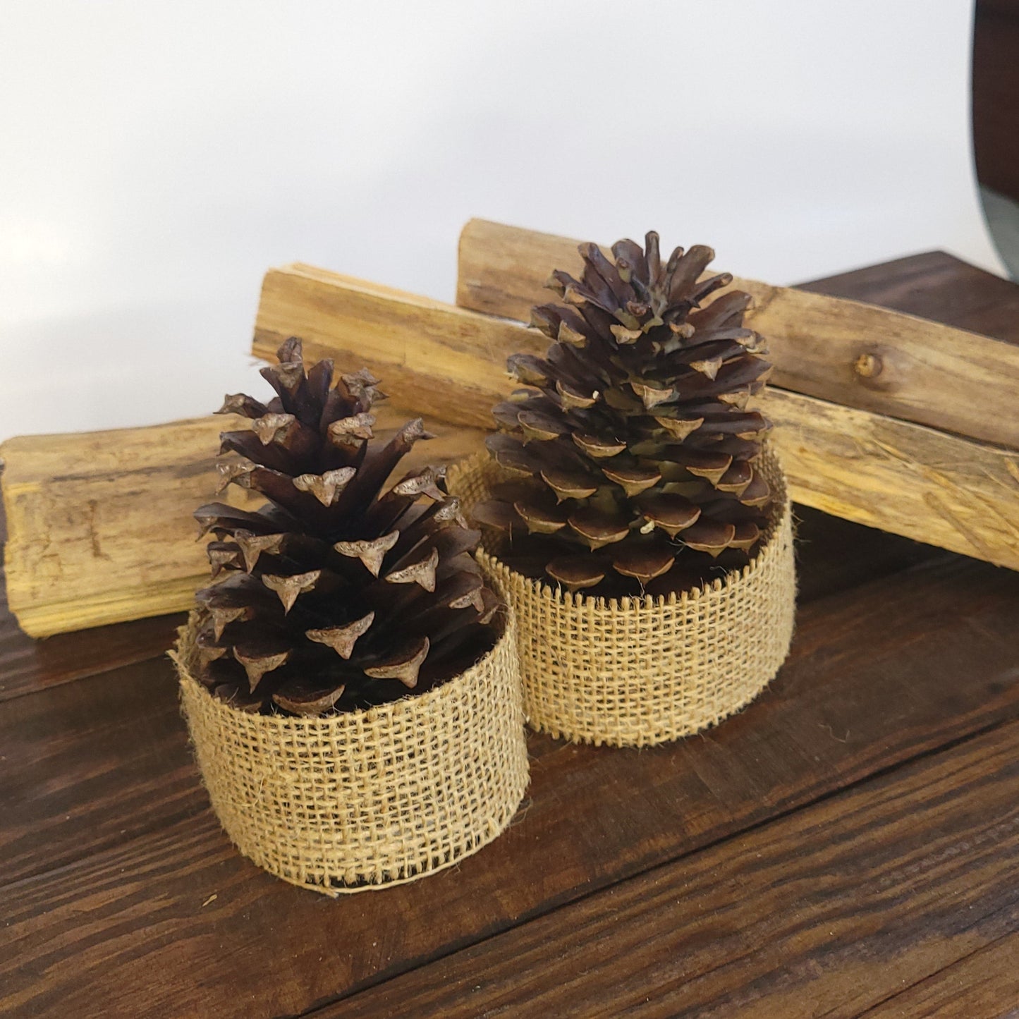 Beeswax Dipped Pinecone Firestarter 12ct