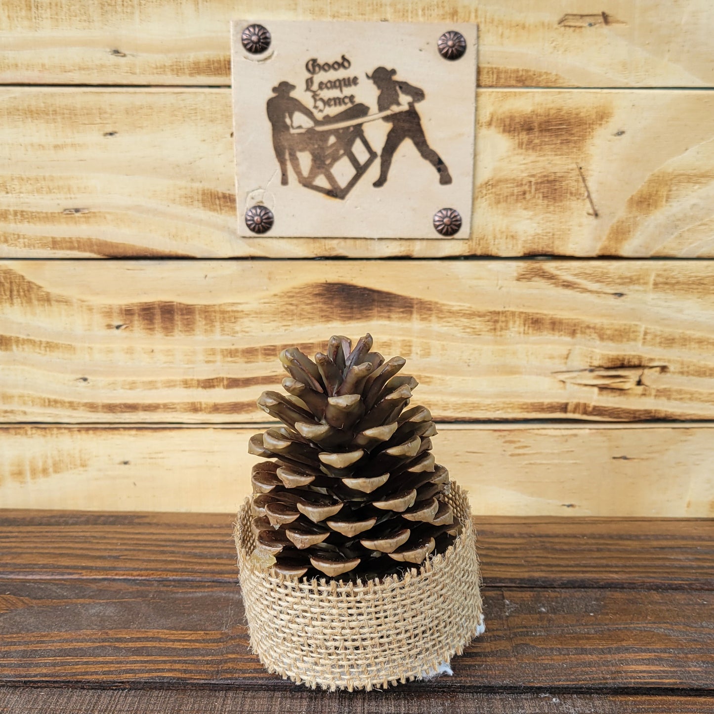 Beeswax Dipped Pinecone Firestarter 12ct