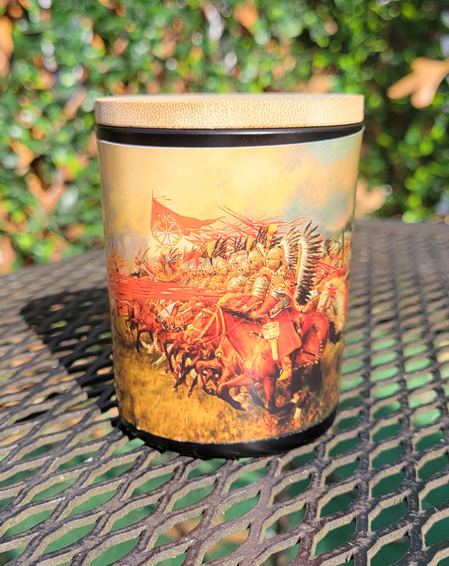 The Second Battle of Vienna