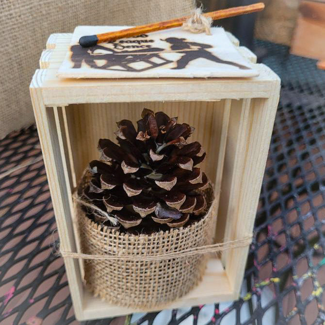 Single Count Beeswax-Dipped Pinecone Firestarter