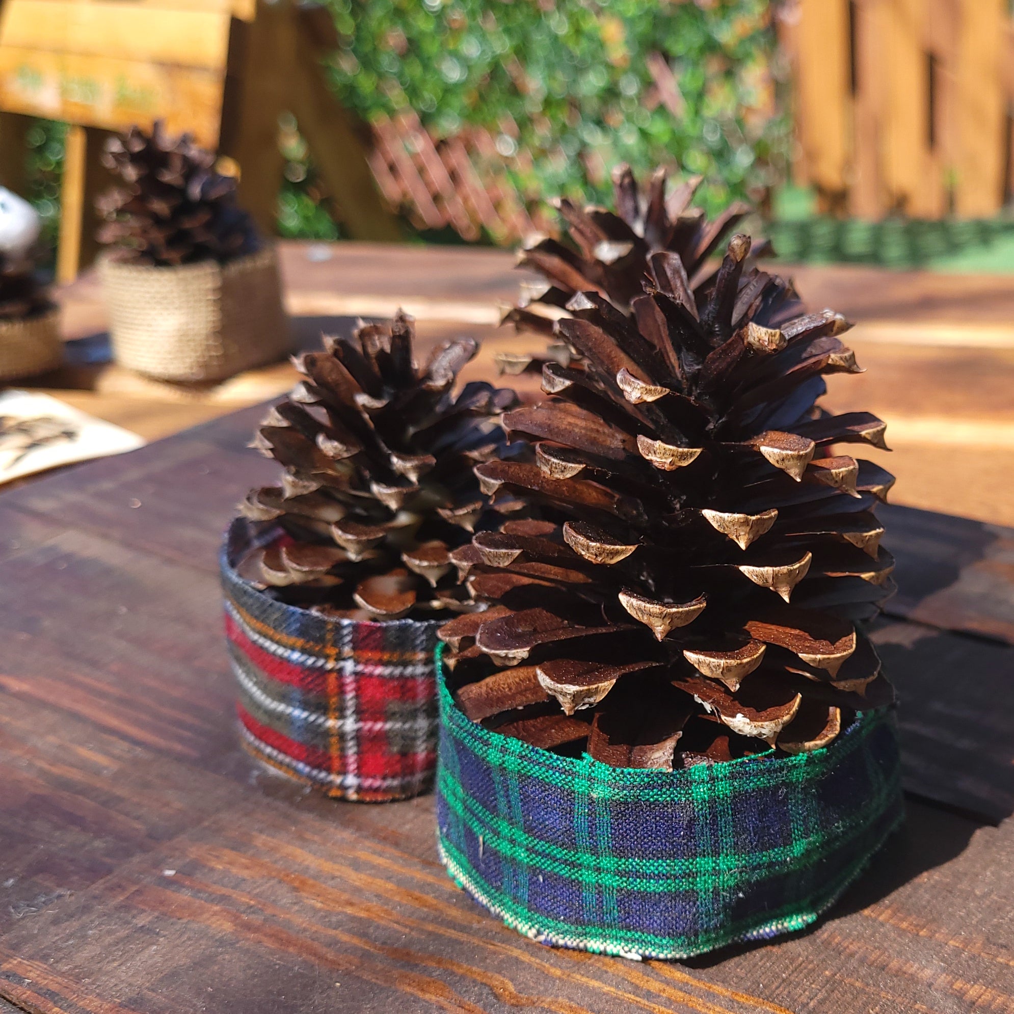 Single Count Beeswax-Dipped Pinecone Firestarter