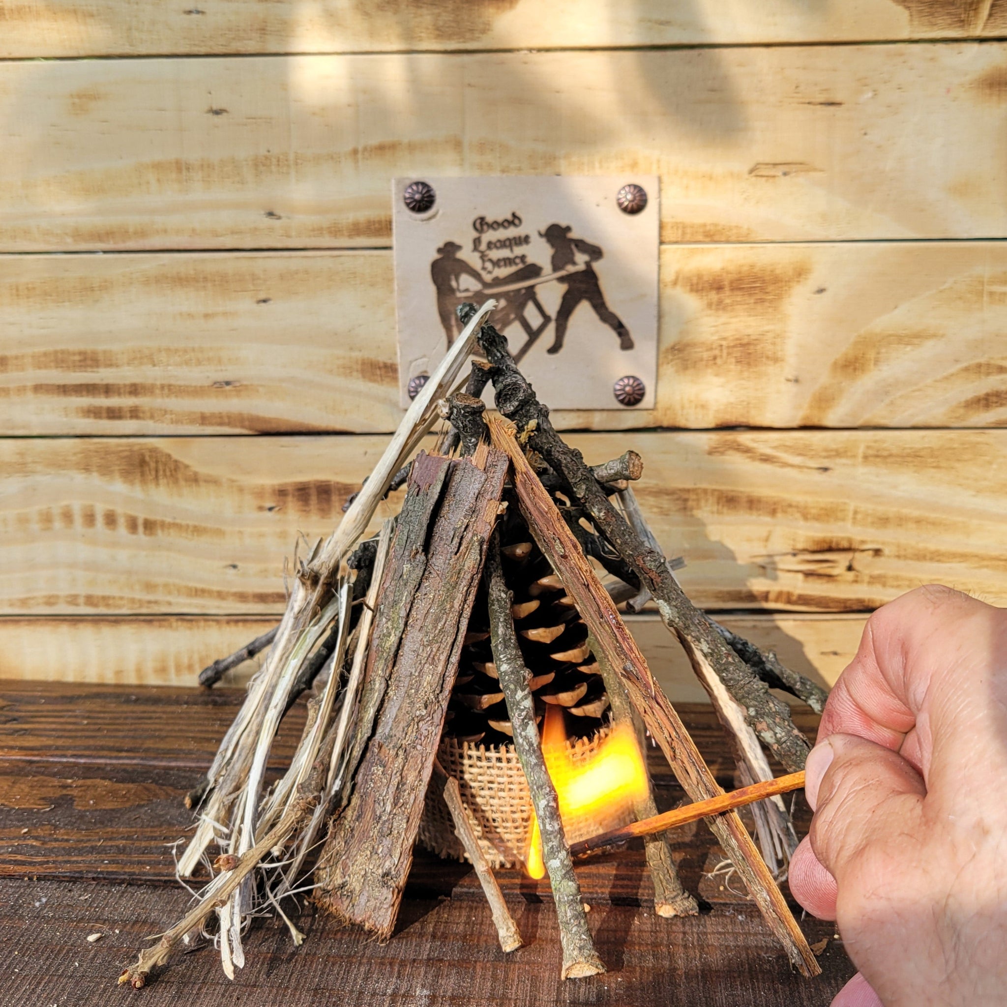 Single Count Beeswax-Dipped Pinecone Firestarter