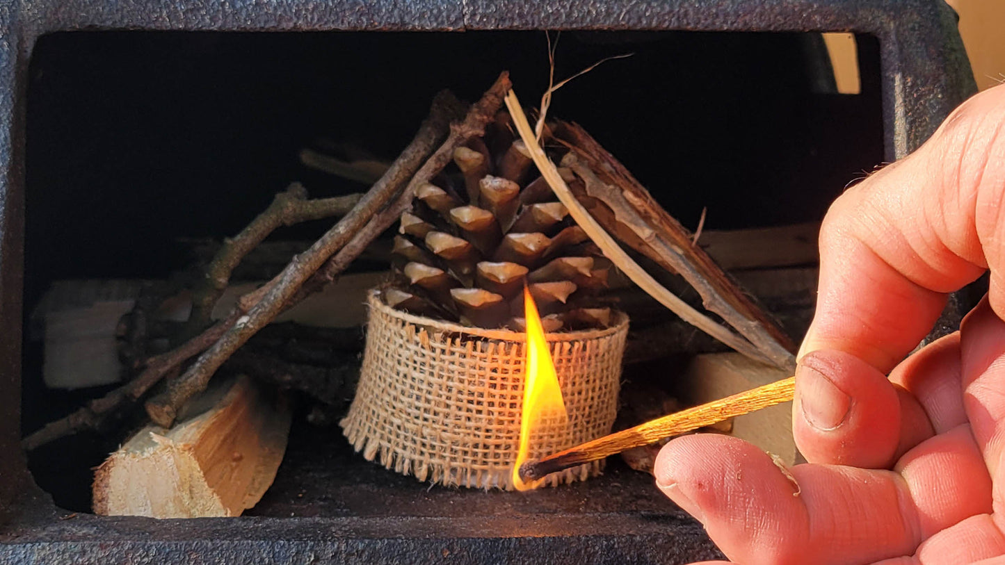 Beeswax-Dipped Pinecone Firestarter | 12 pack