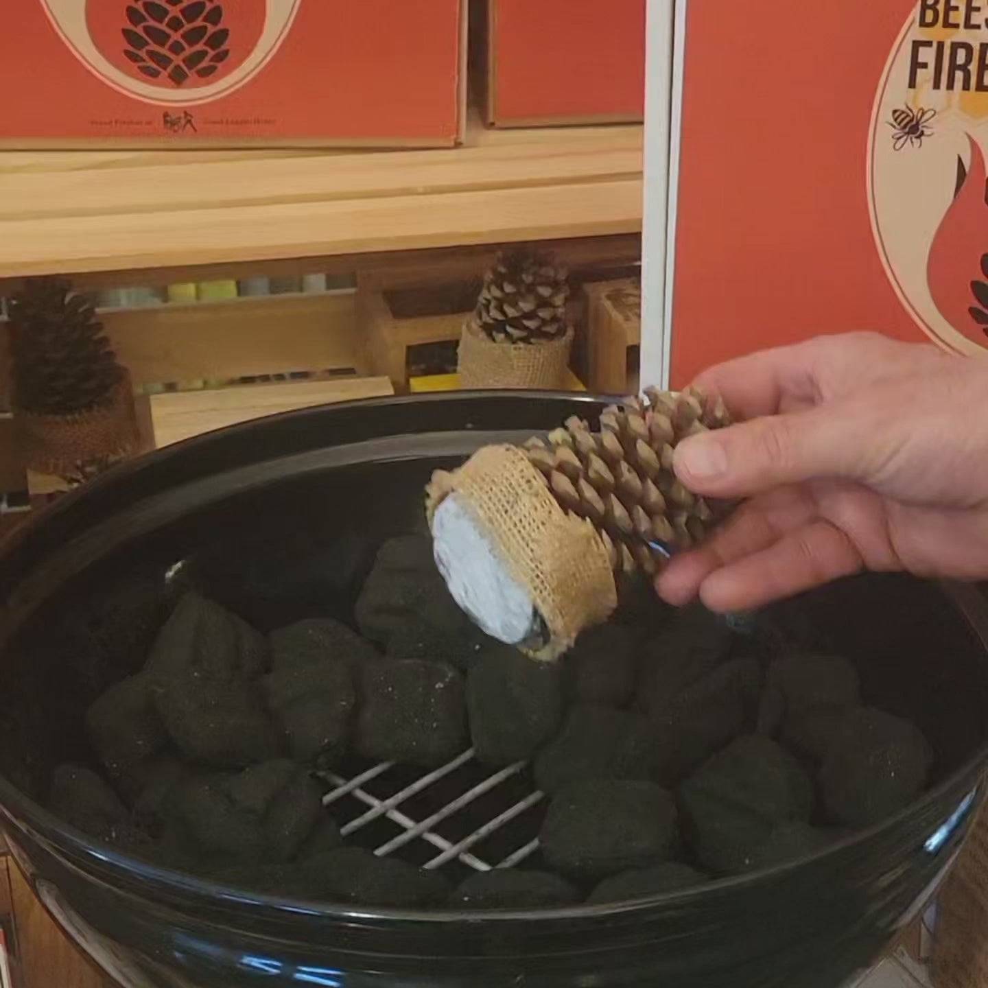 Natural Beeswax Pinecone Firestarter - 12 Pack